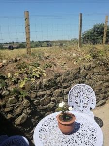 Converted rural stone cottage, Swansea