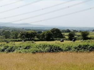 Converted rural stone cottage, Swansea