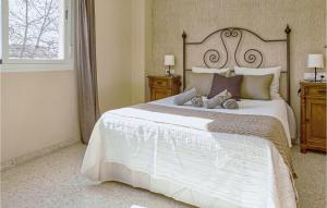 Pet Friendly Apartment