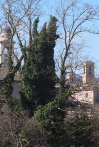 B&B Pippinella