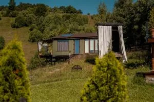 Tripsylvania Tiny House - 迪姆波维奇瓦拉