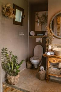 Tripsylvania Tiny House Kili