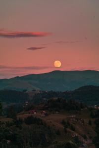 Tripsylvania Tiny House Kili