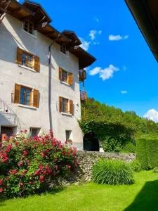 MASO PIAZZERA (cipat 022236-AT-670410) - 维塔罗