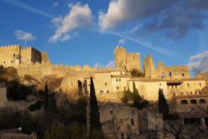 Appartements Gite climatise Baugallo Vepres : photos des chambres