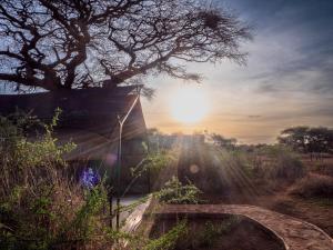 obrázek - Tulia Amboseli Safari Camp