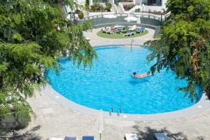 Optimist las americas