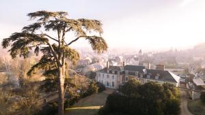 Hotels Hotel & Spa du Domaine des Thomeaux, The Originals Relais (Relais du Silence) : photos des chambres