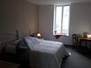 Appartements Cosy T1 BIS - Centre ville : photos des chambres