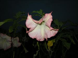 Mare & Mirice - Case Appartamenti Vacanza img44