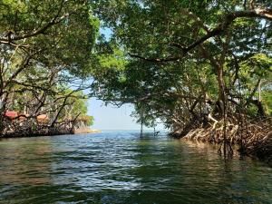 Seaside Chateau Resort