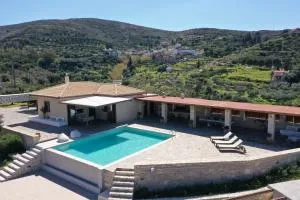 Olive Grove - Vorós