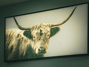 Lovely 4BR Near the Falls and Casino