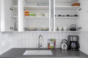 Loop 1BR w Deck Gym WD nr W Loop the L CHI-220