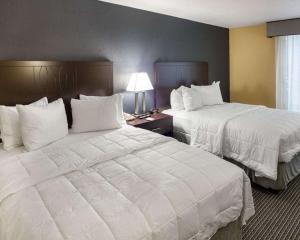 Quality Inn Montpelier