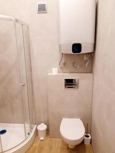 Nowoczesne mieszkanie w centrum miasta