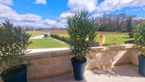 Appartements LA MAISON DES VIGNES SAINT EMILION : photos des chambres