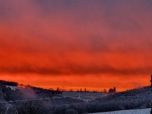PINE COTTAGE- 5 minutes Francorchamps - charme -piscine-calme-jardin