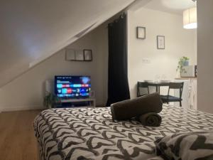 Cosy Rent Strasbourg TV. Wifi Studio Gare 1