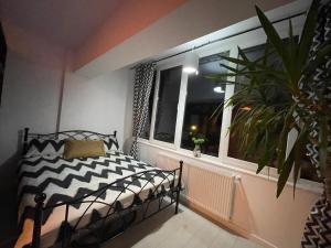 Garsonieră Ultracentrală Petroșani Valea Jiului