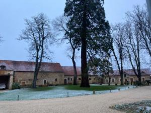 Maisons d'hotes Chateau de Bouesse en Berry : photos des chambres