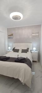 PMT16 - Large city apartment on the beach