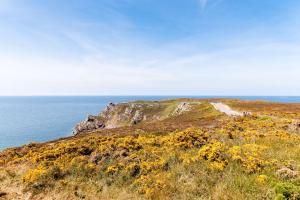 Appartements Face mer a 85m plage - appart 2 adultes 2 enfants : photos des chambres