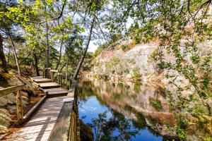 Appartements Face mer a 85m plage - appart 2 adultes 2 enfants : photos des chambres