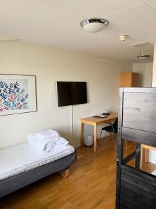 Triple Room room in Vandrarhem Nattmössan