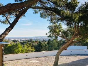 Maisons de vacances Le clos de l Agnelle avec vue sur narbonne : photos des chambres