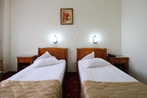 Double or Twin Room room in Hotel Moldova