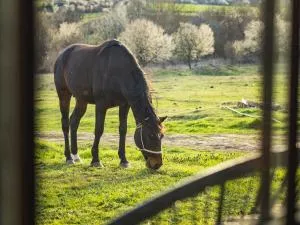 Вила "Намасте" с панорамна гледка и камина на дърва - Byeglezh