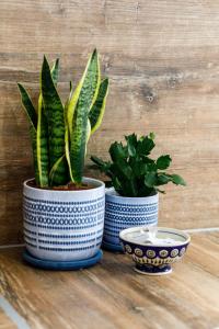 Green Square Apartment with Balcony Świnoujście by Noclegi Renters