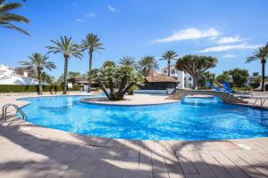 016 Palmar, 171 - Deniasol