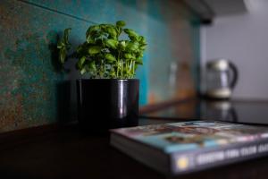 Easy Rent- Metropolitan 75 Hala Globus, 24h Check-in, Zana