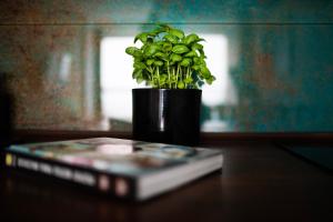 Easy Rent- Metropolitan 75 Hala Globus, 24h Check-in, Zana