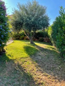 Tavolara Paradise Home