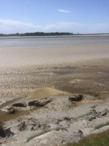 Maisons de vacances Maison familiale a 10 min du Mont Saint Michel : photos des chambres