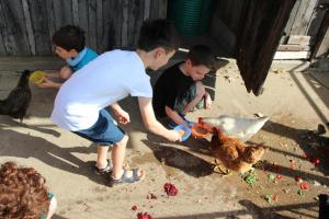 Maisons de vacances Gite Pomme - Les Gites de la Lohuas : photos des chambres