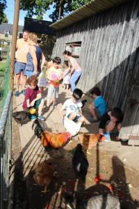 Maisons de vacances Gite Abricot - Les Gites de la Lohuas : photos des chambres