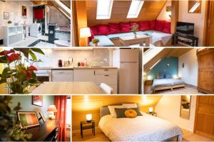 Appartements Green Appart Europa Lodge standing et familial pres Europa-Park : photos des chambres