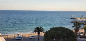 Frejus Plage Le Mediterranee, Magnifique T2, 38m2,
