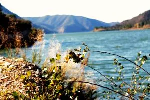 Camping Riba-roja - Fatarella