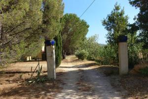 Appartements LES VIGNES ET LA PINEDE PRES DE LA PLAGE : photos des chambres