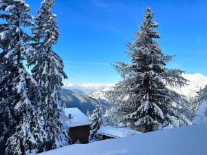 Appartements charmant studio a la Rosiere : photos des chambres