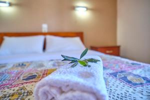 Theodora Apartments Agios Stefanos Corfu