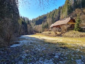 Chalet am Bach