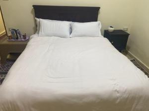 Double Room with Private Bathroom room in Pyramids Lounge Guest House