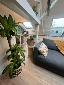 Appartements Gite atypique et cosy : photos des chambres