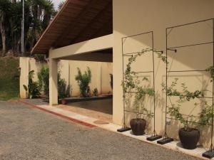 Casa Sofia, a Gem Close to Orosi Thermal Pools!